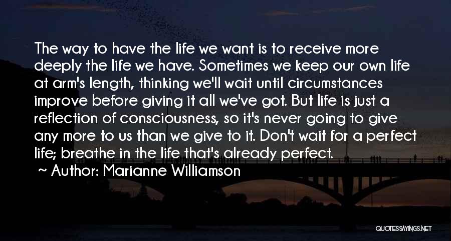 Our Own Reflection Quotes By Marianne Williamson