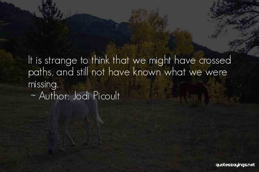 Our Paths Have Crossed Quotes By Jodi Picoult