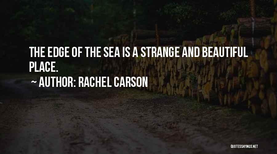 Our Place By The Sea Quotes By Rachel Carson