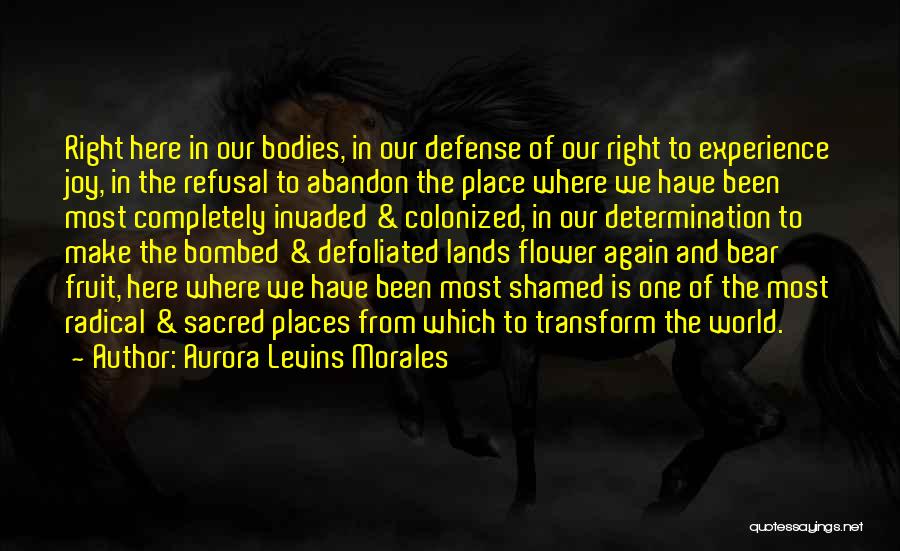 Our Place In The World Quotes By Aurora Levins Morales