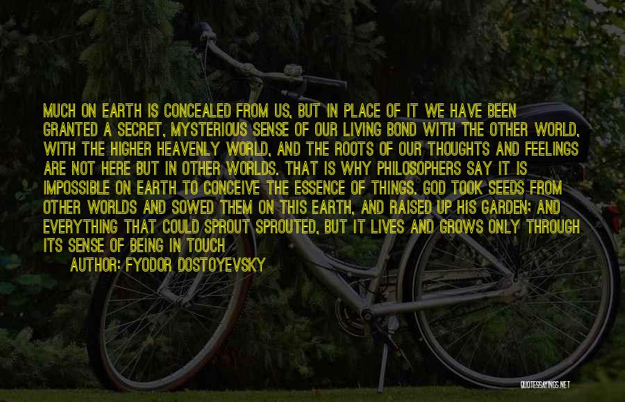 Our Place In The World Quotes By Fyodor Dostoyevsky