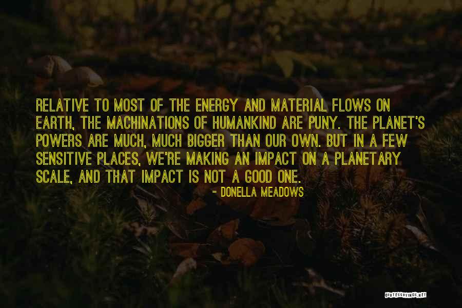 Our Planet Earth Quotes By Donella Meadows