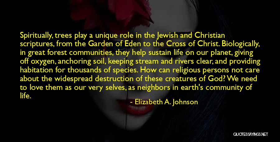 Our Planet Earth Quotes By Elizabeth A. Johnson