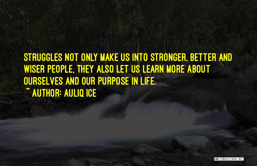 Our Purpose In Life Quotes By Auliq Ice