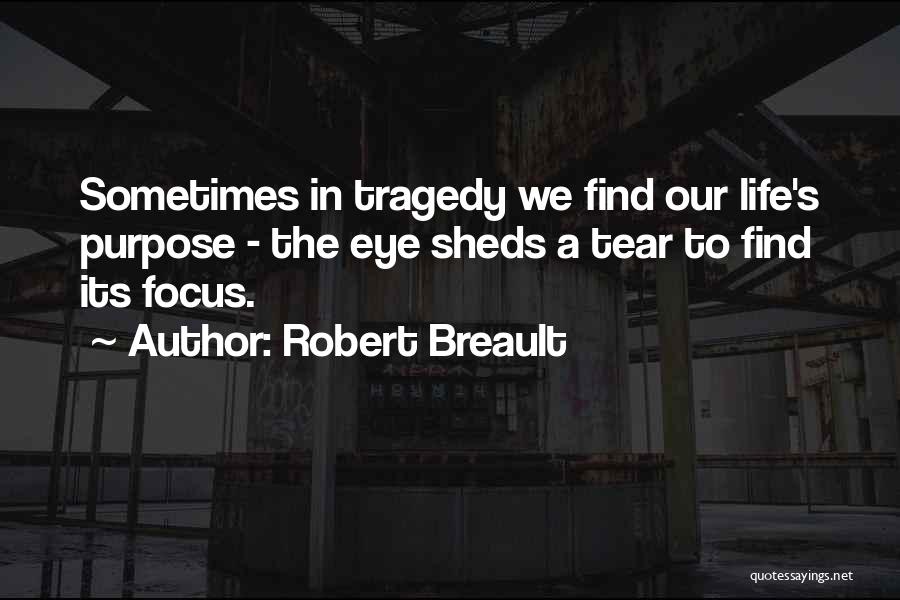 Our Purpose In Life Quotes By Robert Breault