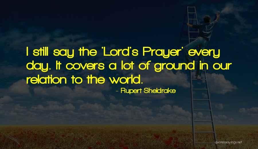 Our Relation To The World Quotes By Rupert Sheldrake Our Relation To The World Quotes By Rupert Sheldrake