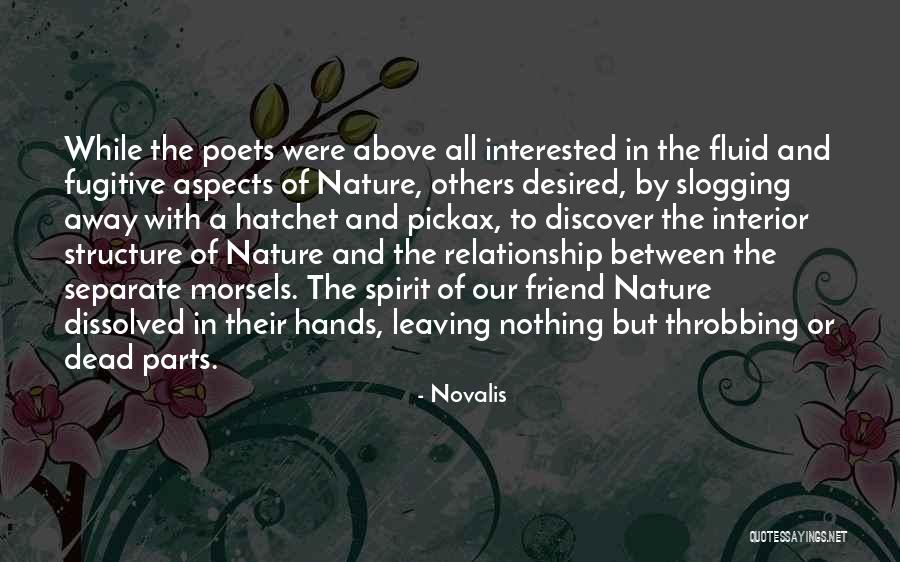 Our Relationship With Nature Quotes By Novalis Our Relationship With Nature Quotes By Novalis