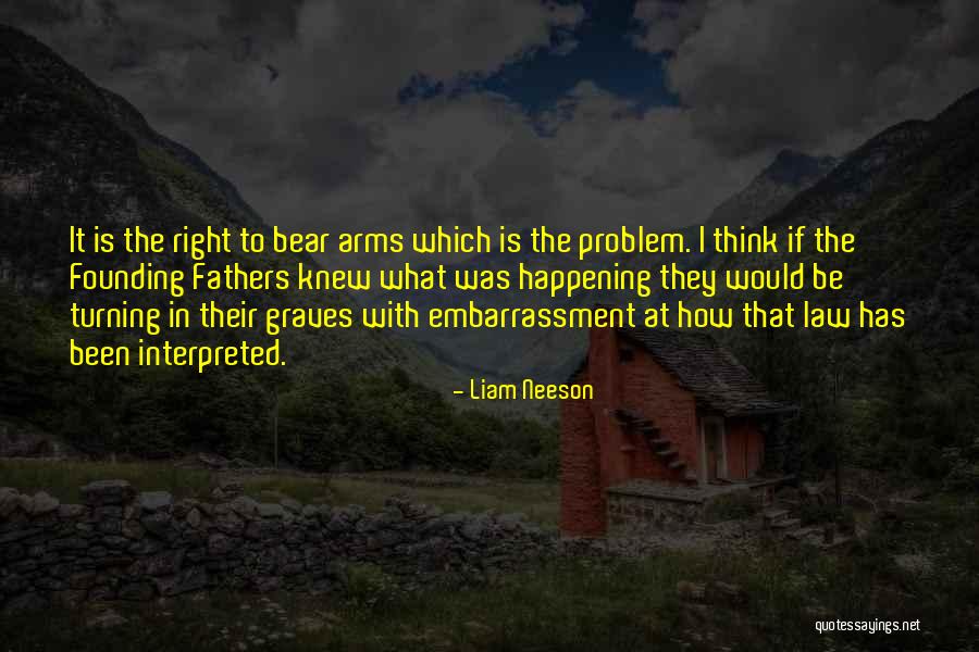 Our Right To Bear Arms Quotes By Liam Neeson