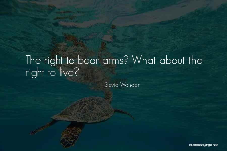 Our Right To Bear Arms Quotes By Stevie Wonder