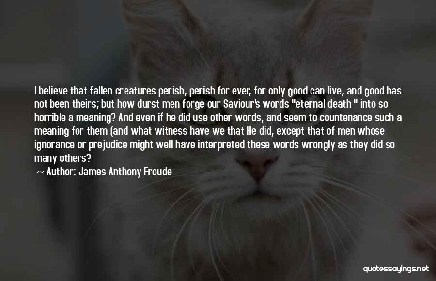 Our Saviour Quotes By James Anthony Froude