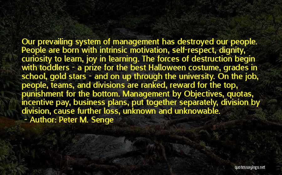 Our School System Quotes By Peter M. Senge