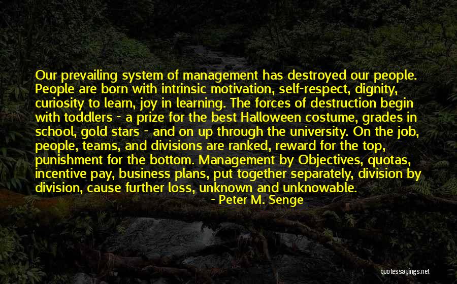 Our School System Quotes By Peter M. Senge