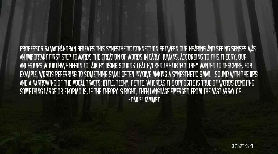 Our Senses Quotes By Daniel Tammet