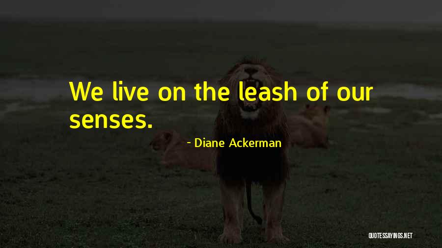 Our Senses Quotes By Diane Ackerman