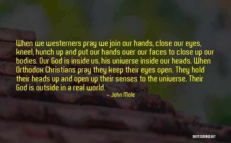 Our Senses Quotes By John Mole