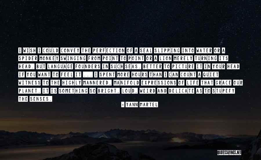 Our Senses Quotes By Yann Martel
