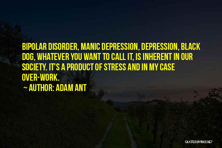 Our Society Quotes By Adam Ant