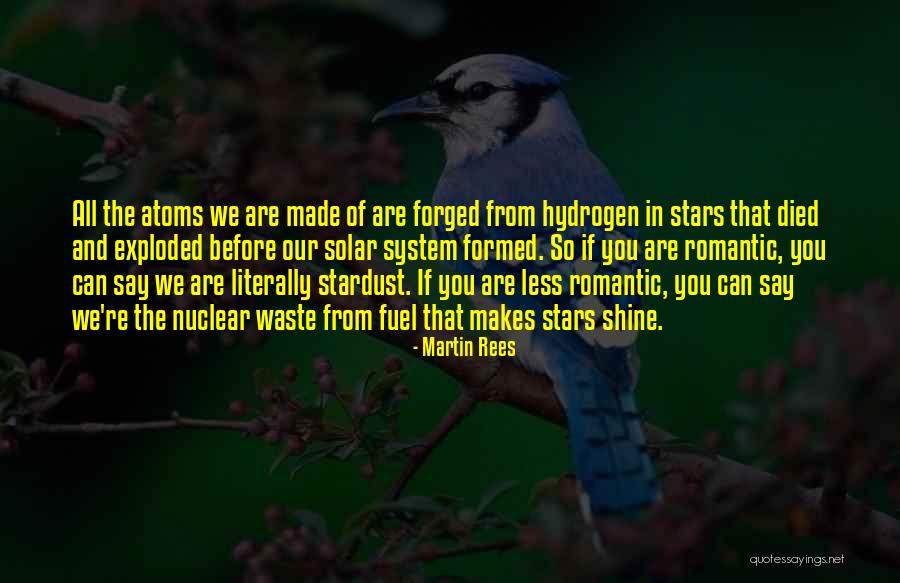 Our Solar System Quotes By Martin Rees Our Solar System Quotes By Martin Rees
