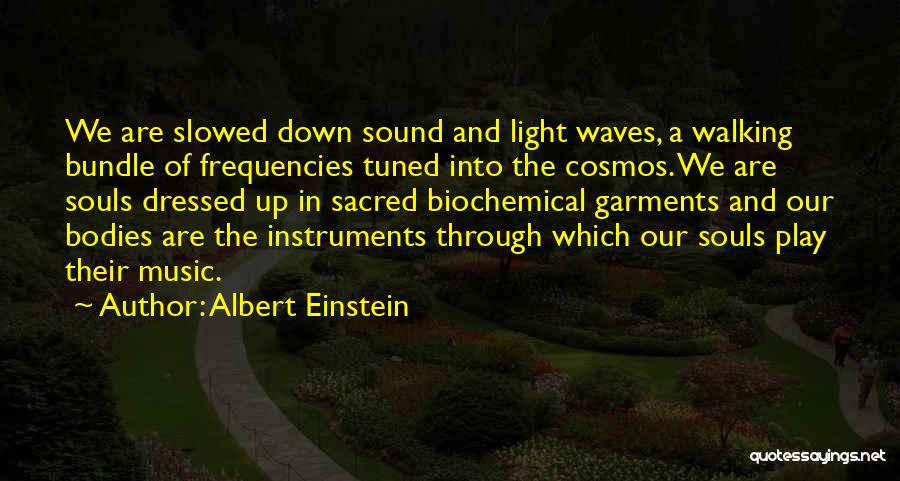 Our Souls Quotes By Albert Einstein