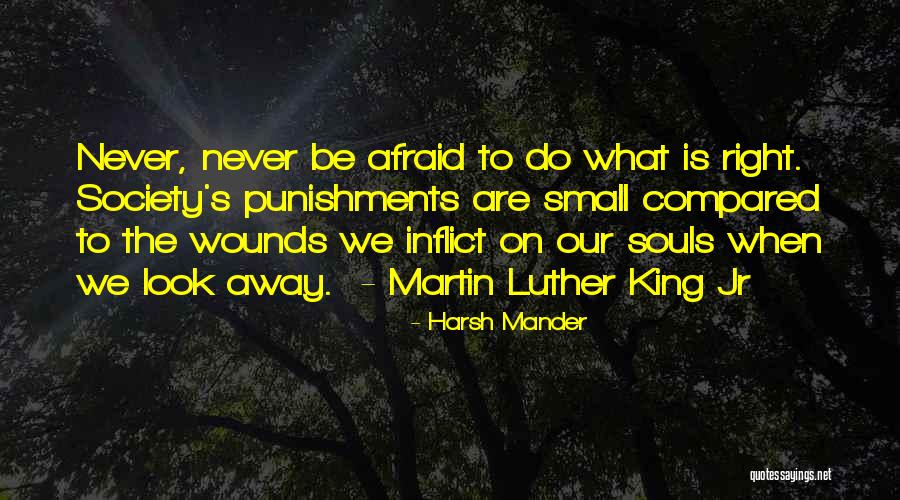 Our Souls Quotes By Harsh Mander