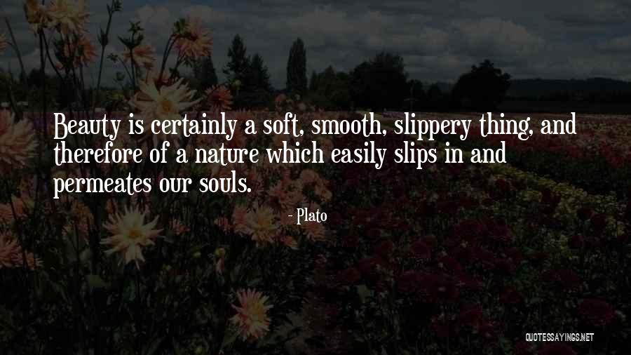 Our Souls Quotes By Plato