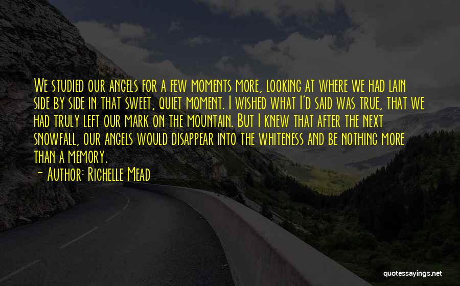 Our Sweet Moments Quotes By Richelle Mead