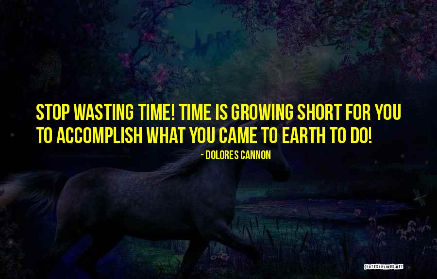 Our Time On Earth Is Short Quotes By Dolores Cannon