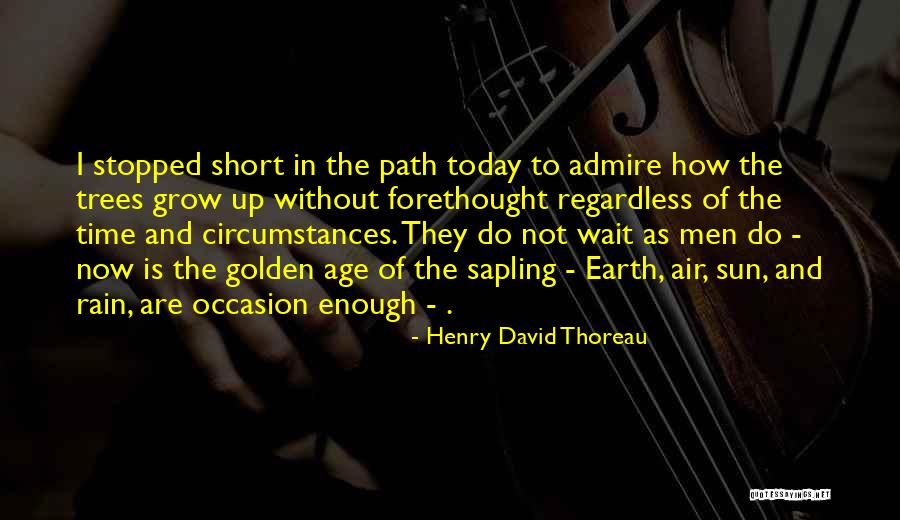 Our Time On Earth Is Short Quotes By Henry David Thoreau