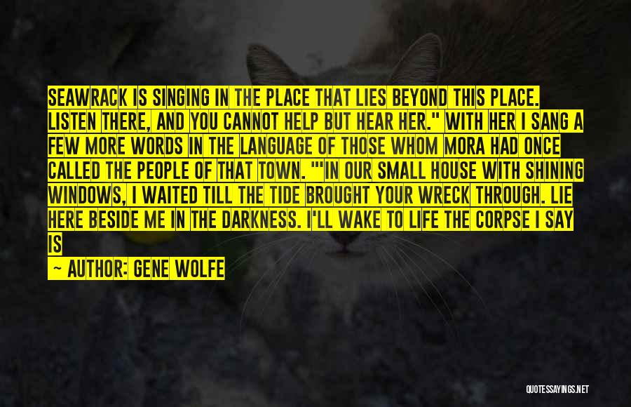 Our Town Life Quotes By Gene Wolfe