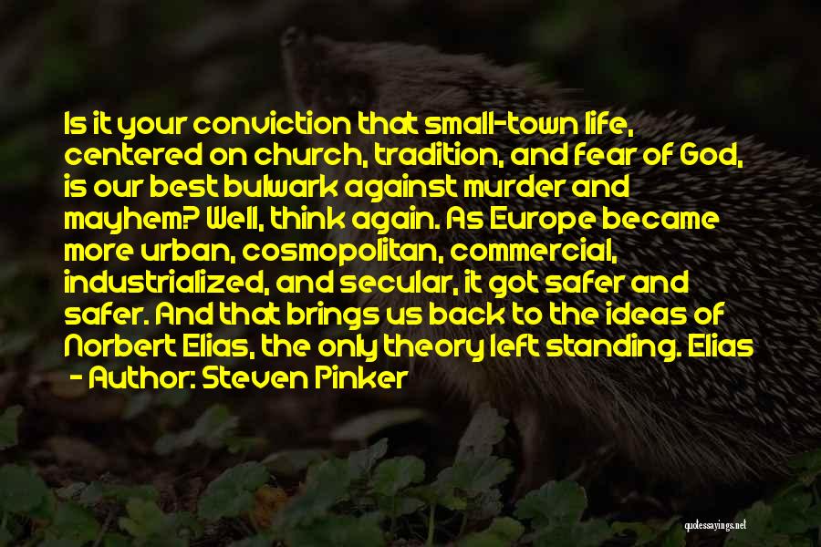 Our Town Life Quotes By Steven Pinker