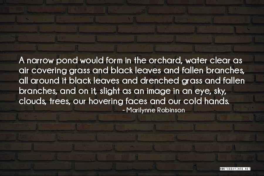 Our Trees Quotes By Marilynne Robinson Our Trees Quotes By Marilynne Robinson