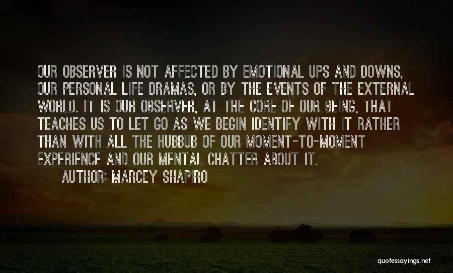 Our Ups And Downs Quotes By Marcey Shapiro