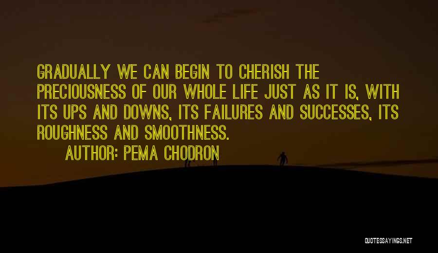 Our Ups And Downs Quotes By Pema Chodron