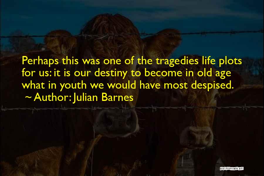 Our Youth Quotes By Julian Barnes