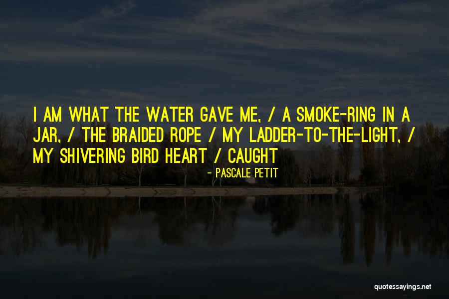 Ousadia Final Quotes By Pascale Petit Ousadia Final Quotes By Pascale Petit