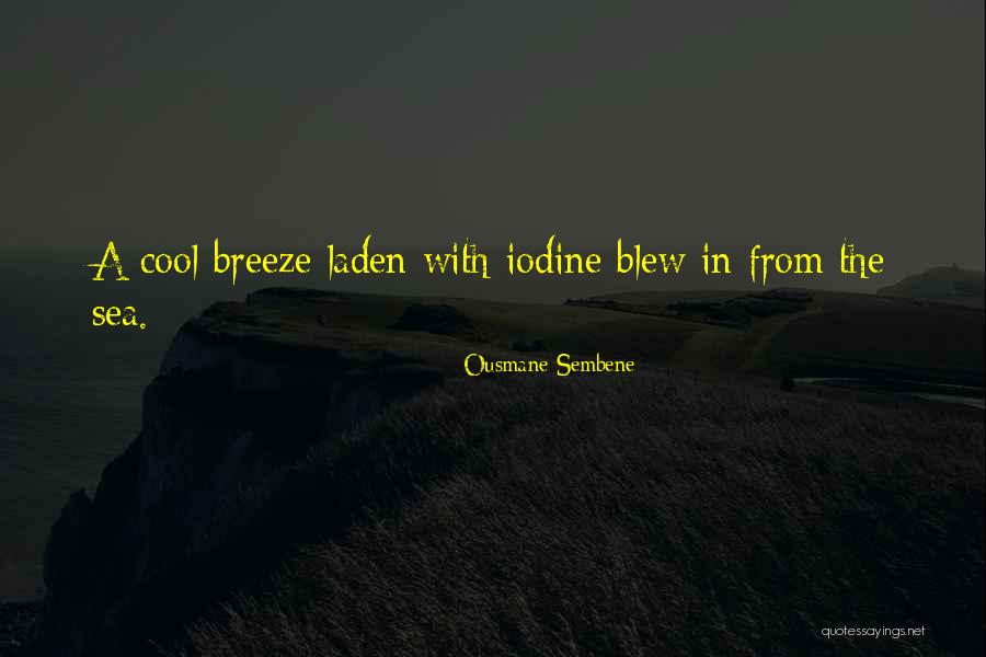 Ousmane Sembene Quotes 1052106 Ousmane Sembene Quotes 1052106