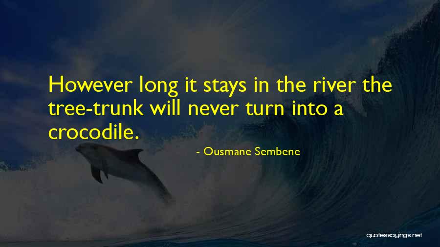 Ousmane Sembene Quotes 1726302 Ousmane Sembene Quotes 1726302