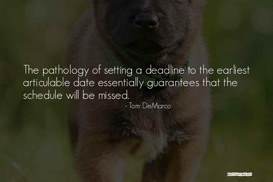 Oussedik Fawzi Quotes By Tom DeMarco Oussedik Fawzi Quotes By Tom DeMarco