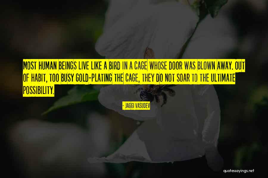 Out Blown Away Quotes By Jaggi Vasudev Out Blown Away Quotes By Jaggi Vasudev