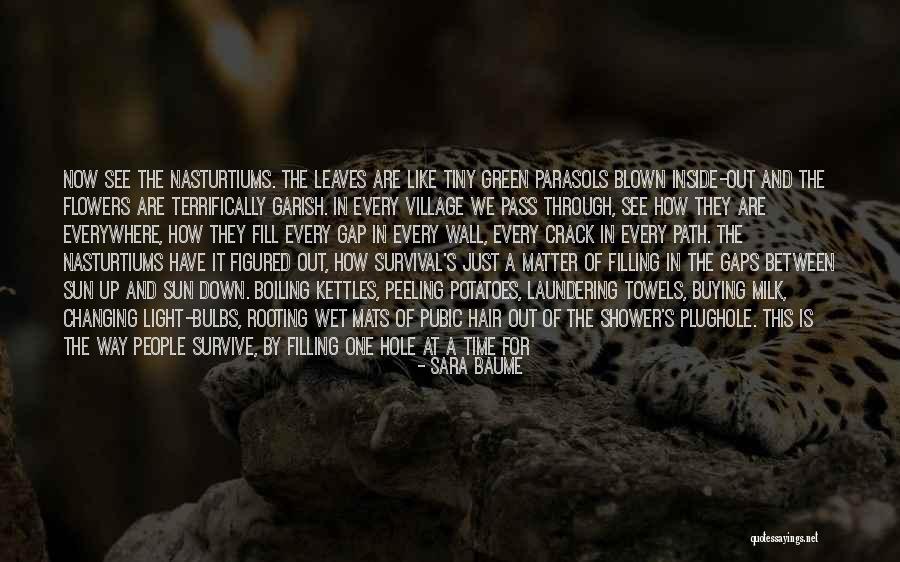 Out Blown Away Quotes By Sara Baume Out Blown Away Quotes By Sara Baume