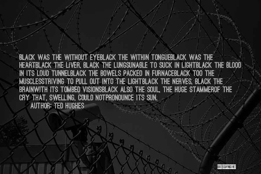 Out Darkness Into Light Quotes By Ted Hughes