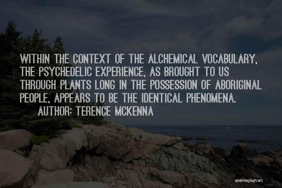 Out Of Context D&d Quotes By Terence McKenna