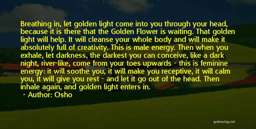 Out Of Darkness Quotes By Osho Out Of Darkness Quotes By Osho