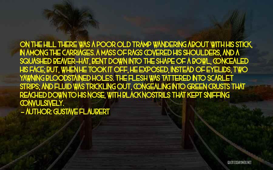 Out Of Shape Quotes By Gustave Flaubert