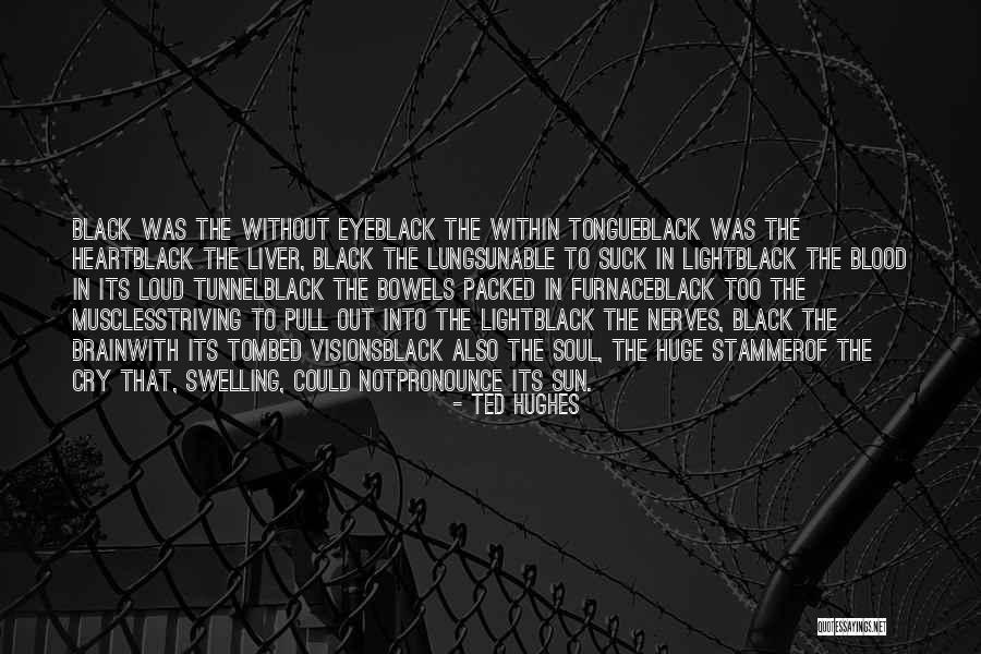 Out Of The Darkness Into The Light Quotes By Ted Hughes Out Of The Darkness Into The Light Quotes By Ted Hughes