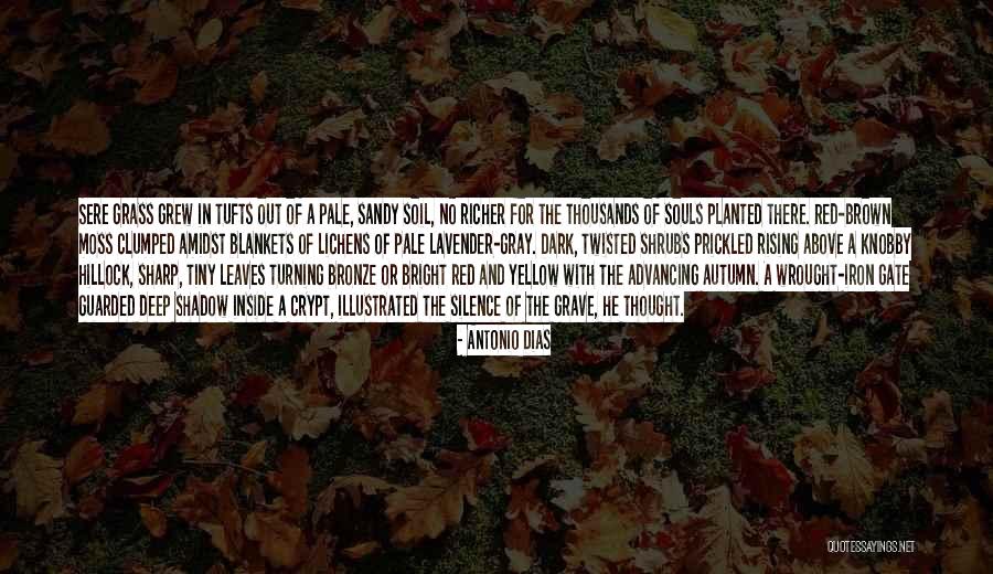 Out Of The Gate Quotes By Antonio Dias Out Of The Gate Quotes By Antonio Dias