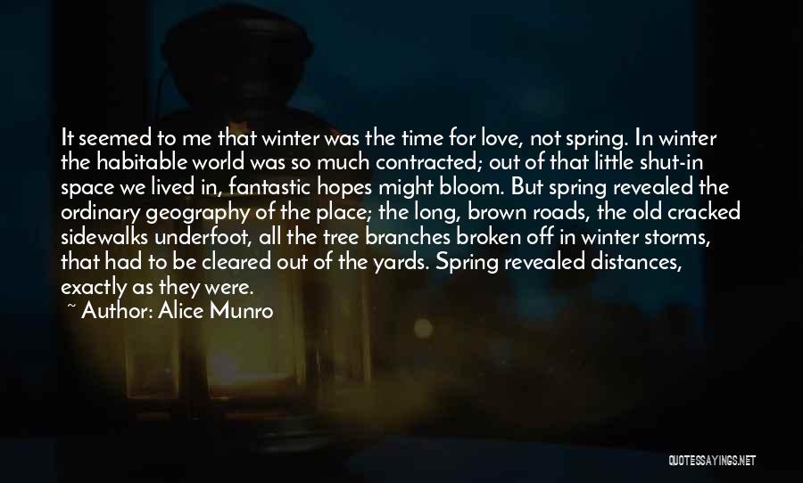 Out Of The Ordinary Love Quotes By Alice Munro
