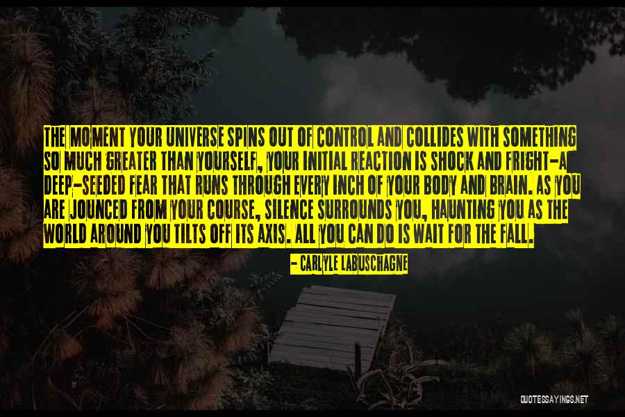 Out Of Your Control Quotes By Carlyle Labuschagne Out Of Your Control Quotes By Carlyle Labuschagne