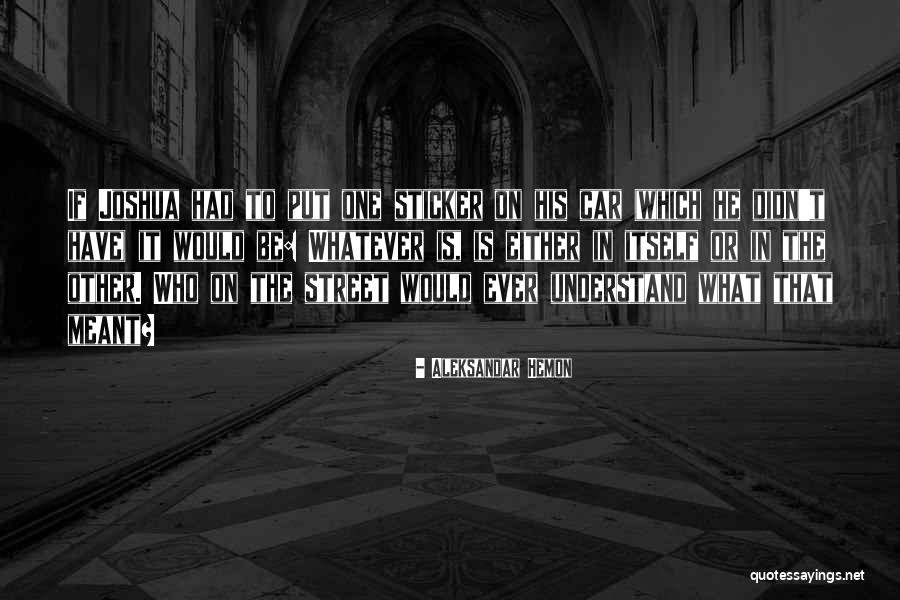Out Partying Just Kidding Quotes By Aleksandar Hemon Out Partying Just Kidding Quotes By Aleksandar Hemon