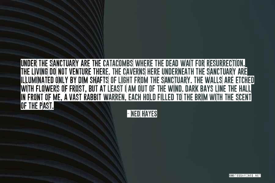 Out Venture Quotes By Ned Hayes Out Venture Quotes By Ned Hayes